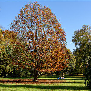 D75_0636.jpg