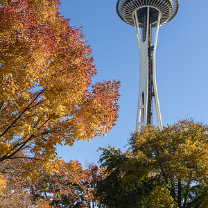 Spaceneedle.jpg