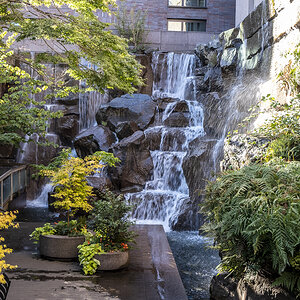 Waterfall Garden Park.jpg