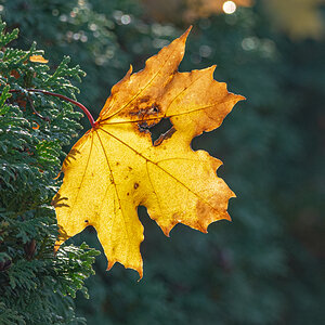 OF2_34352.jpg