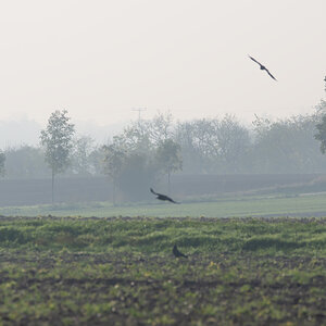 OF2_34348.jpg