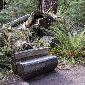 Bank Olympia NP.jpg