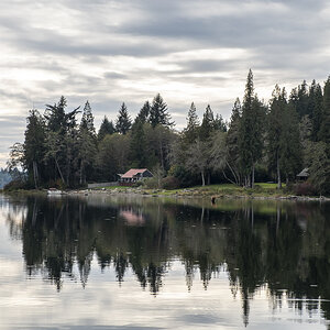 Haus am Lake Quinault.jpg