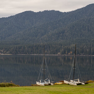 Katamarane am Lake Quinault.jpg