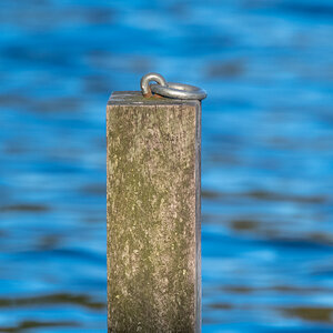 DOF