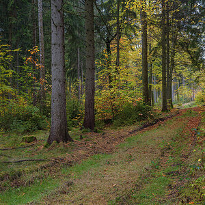 Panorama1a.jpg
