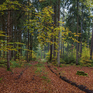 Unbenanntes_Panorama3a.jpg