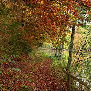 Sommertalweiher-2019_23336.jpg