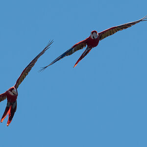 P1004749-Bearbeitet.jpg