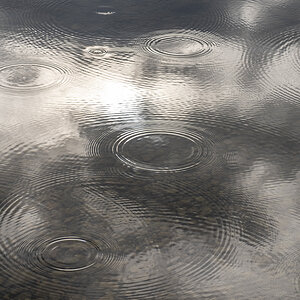 Raindrops.jpg