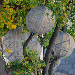 DSC_0094_DxO-2.jpg