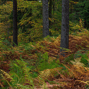 _2AG1553 60.jpg