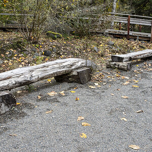 Bänke Mt Rainier NP.jpg