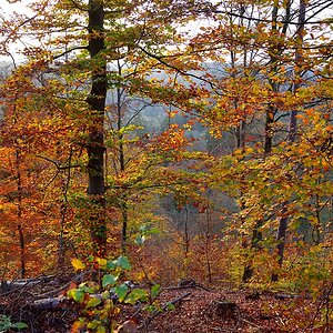 Bromberg-2019_24044 (3).jpg