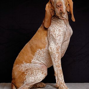 Mali