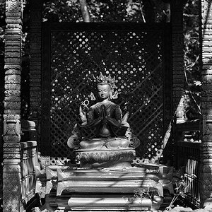 Himalaya Park-Wiesent