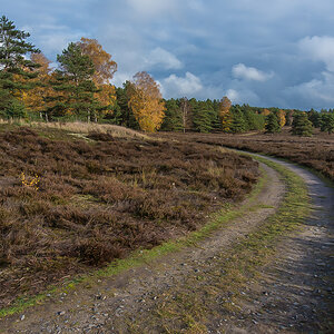 Herbst in der Hasenheide.jpg