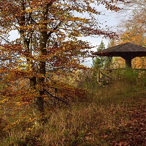 Falkenkopf-2019_24368 (1).jpg