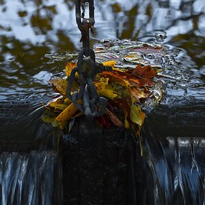 DSL_0656_1_nff.jpg