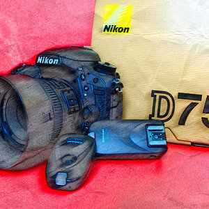 D750 01.jpg