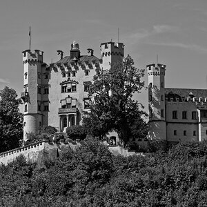 DSC_2211dxo (2).jpg