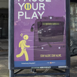 Pause your play.jpg