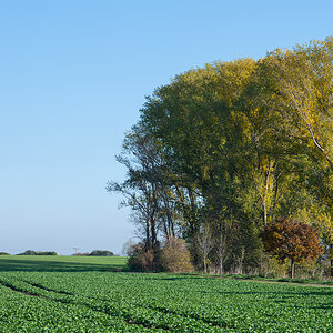 OF2_34492.jpg