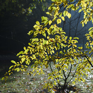 DSC_5843.jpg