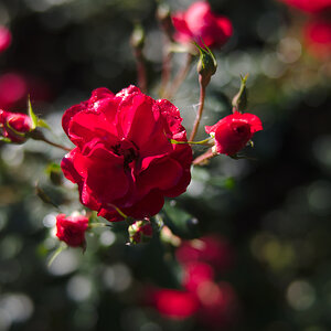 DSC_5883.jpg