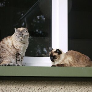 11428237_893421460703867_4745301435747272076_o-2.jpg
