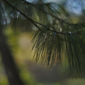 DSC_5827.jpg