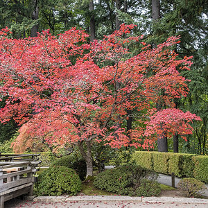 Baum Washington Park.jpg