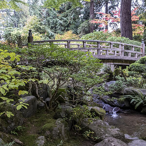 Brücke Japanischer Garten Portland.jpg