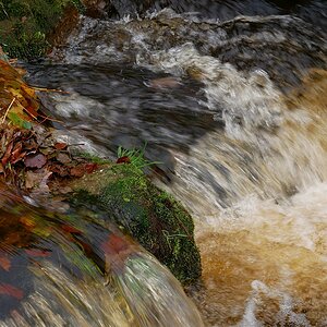 P1070108aklein.jpg