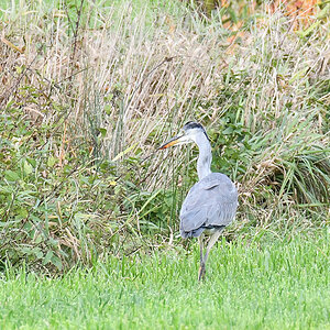 DSC_6427.jpg