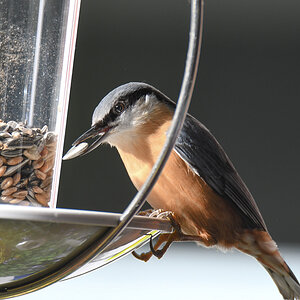 DSC_6514.jpg