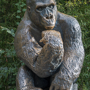 _DSC0231.jpg