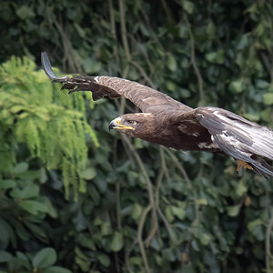 P1053792-Bearbeitet.jpg