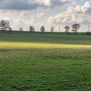 OF2_34209.jpg