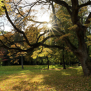 DSC_6822-1_DxO.jpg