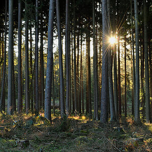 DSC_7094_DxO.jpg