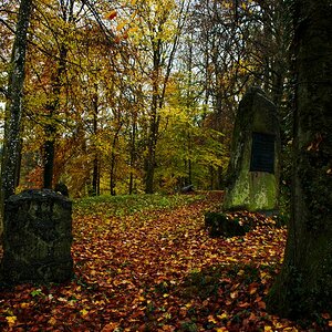 Waldfriedhof "Cold November Rain"