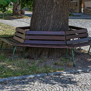OF2_32340.jpg