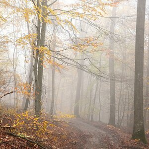 Erlenplatte-2019_24551.jpg