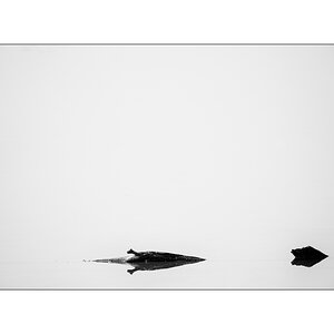 FlachDSC_2905.jpg