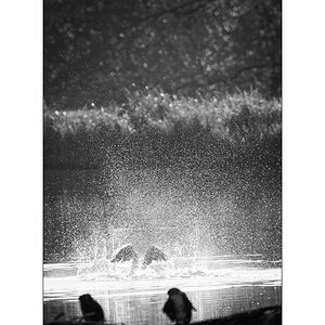 FlachDSC_2917.jpg