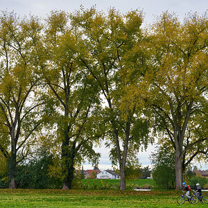 herbst.jpg