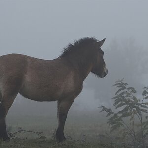 AK3_0354