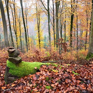 Kelenweg-2019_24644.jpg
