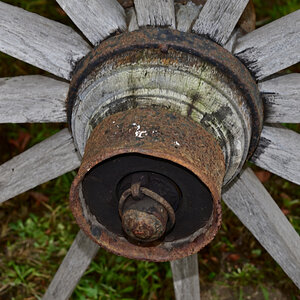 NZ6_3870.jpg